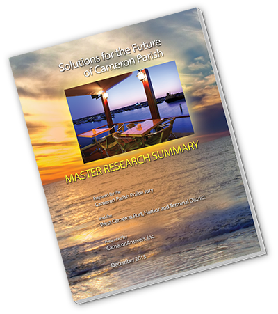 web image SIZED summary front cover copy